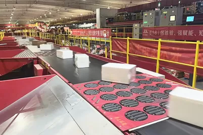 Сортируйте продукты безопасно